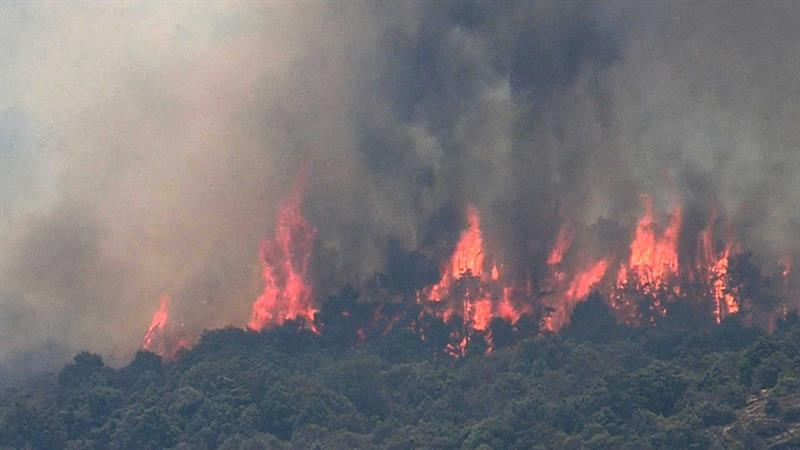 Castilla y León solicita a la UME en el incendio de El Arenal, en Ávila Castilla y León solicita a la UME en el incendio de El Arenal, en Ávila
