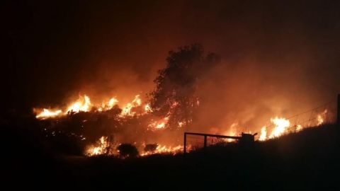 Incendio en la Comunidad de Madrid