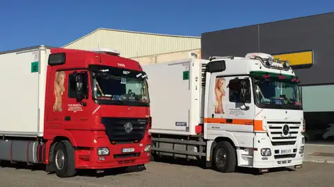 Imagen de los camiones de la empresa Imagen de los camiones de la empresa