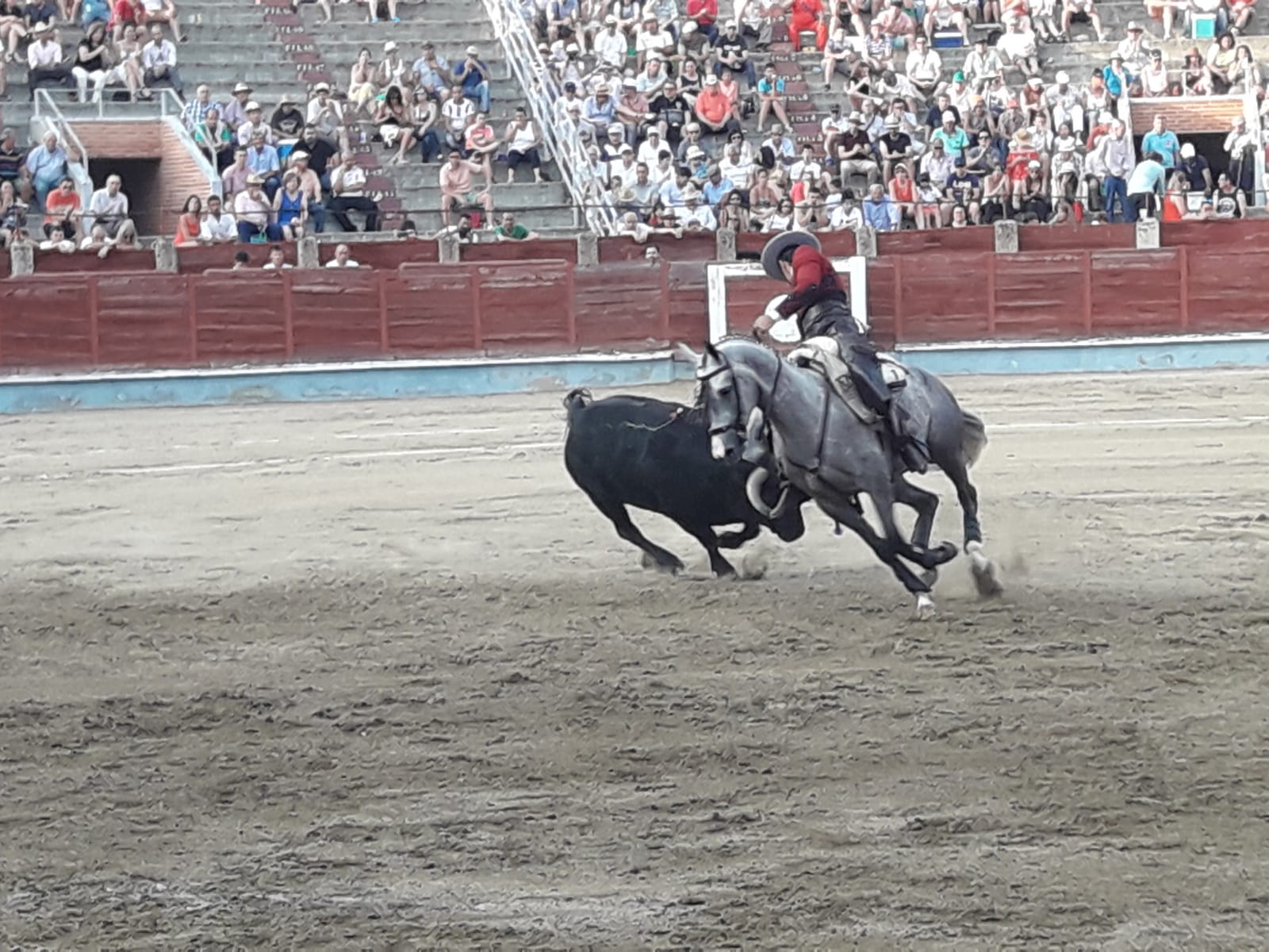Repaso a la actualidad taurina Repaso a la actualidad taurina