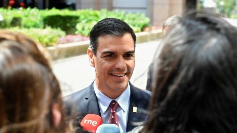 Pedro S&aacute;nchez