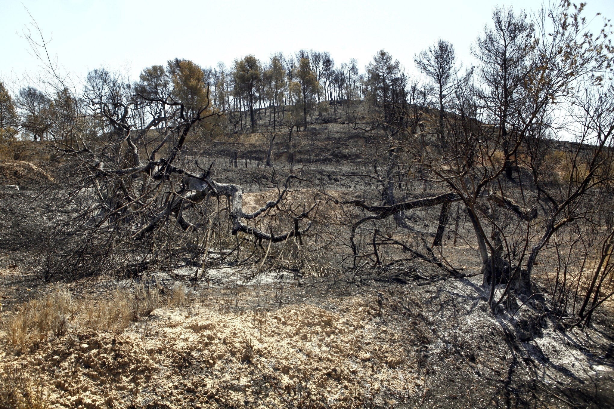 Apagados los principales focos en Peña Cenicientos en el incendio de Cadalso, aunque con muchos puntos calientes Apagados los principales focos en Peña Cenicientos en el incendio de Cadalso, aunque con muchos puntos calientes