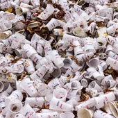 Los plasticos biodegradables tambien son toxicos Los plasticos biodegradables tambien son toxicos