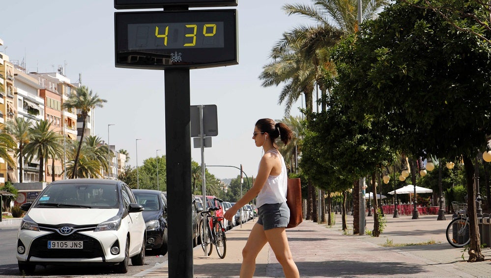 El tiempo en 2020: Así será el año meteorológico El tiempo en 2020: Así será el año meteorológico