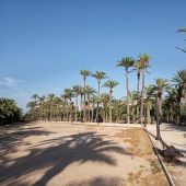 Parque en Elche.