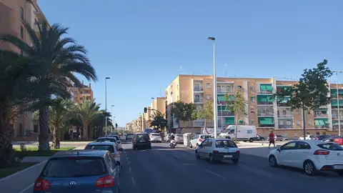 Avenida Corts Valencianes de Elche. Avenida Corts Valencianes de Elche.