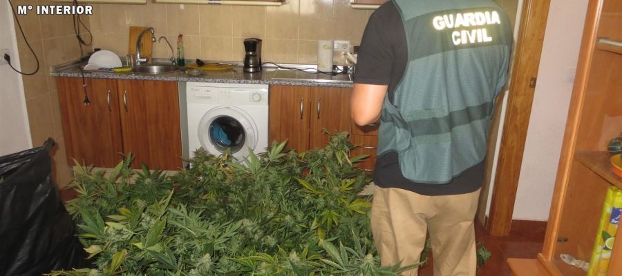 Registro de la Guardia Civil en la vivienda Registro de la Guardia Civil en la vivienda