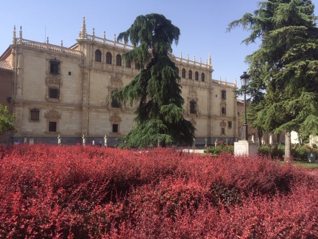 Más de uno Alcalá 11/12/2019 Más de uno Alcalá 11/12/2019