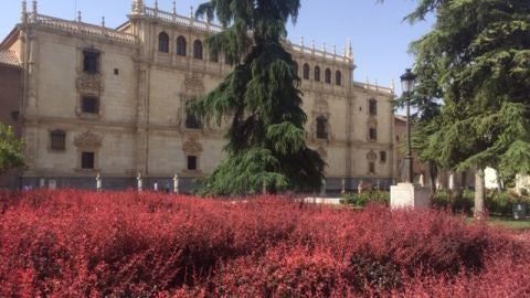 Alcal&aacute; de Henares
