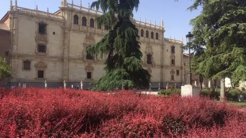 Fachada San Ildefonso Alcalá de Henares