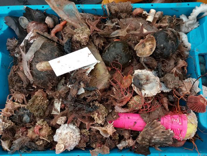 La basura invade las redes de pesca en las zonas cercanas a las ciudades La basura invade las redes de pesca en las zonas cercanas a las ciudades