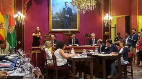 Pleno de organización 2019 Gobierno municipal