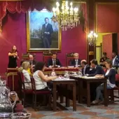 Pleno de organización 2019 Pleno de organización 2019