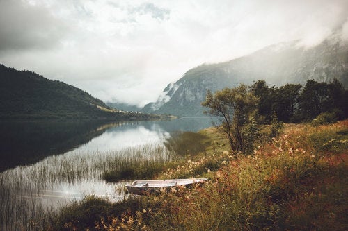 Leire Unzueta nos enseña el lado más frío y bello de los bosques Leire Unzueta nos enseña el lado más frío y bello de los bosques