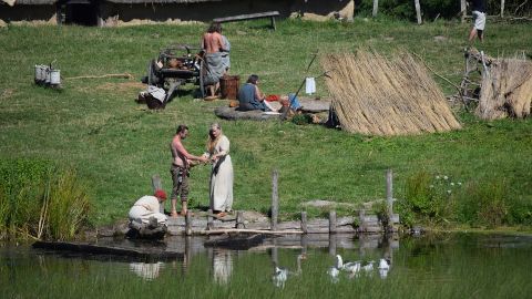 Los Vikingos supieron sacara provecho de la situaci&oacute;n