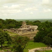 La deforestación jugó una mala pasada a la civilización Maya