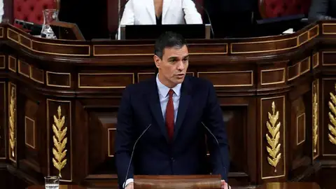 El presidente del Gobierno en funciones, Pedro Sánchez, en el Congreso El presidente del Gobierno en funciones, Pedro Sánchez, en el Congreso