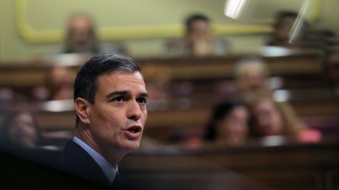 Pedro S&aacute;nchez