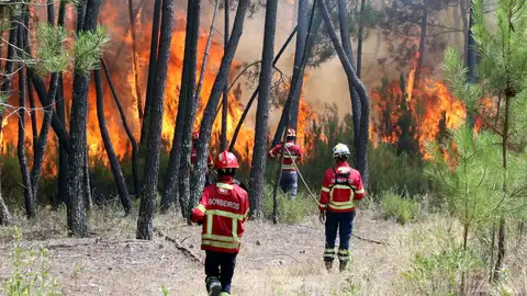 Bomberos combaten un incendio forestal en Casais de Sao Bento Bomberos combaten un incendio forestal en Casais de Sao Bento