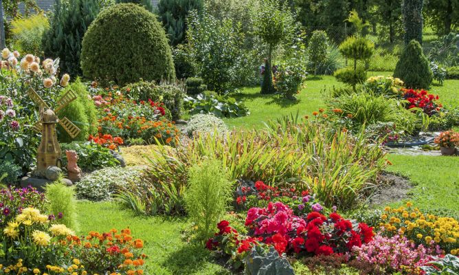 Como cuidar tus plantas en las vacaciones de verano Como cuidar tus plantas en las vacaciones de verano