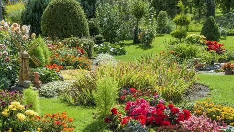 10 plantas para poner al sol HOGARMANÍA