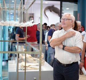El alcalde de València, Joan Ribó, y la consellera de transición ecológica, Mireia Mollà, durante la inauguración de la muestra. El alcalde de València, Joan Ribó, y la consellera de transición ecológica, Mireia Mollà, durante la inauguración de la muestra.