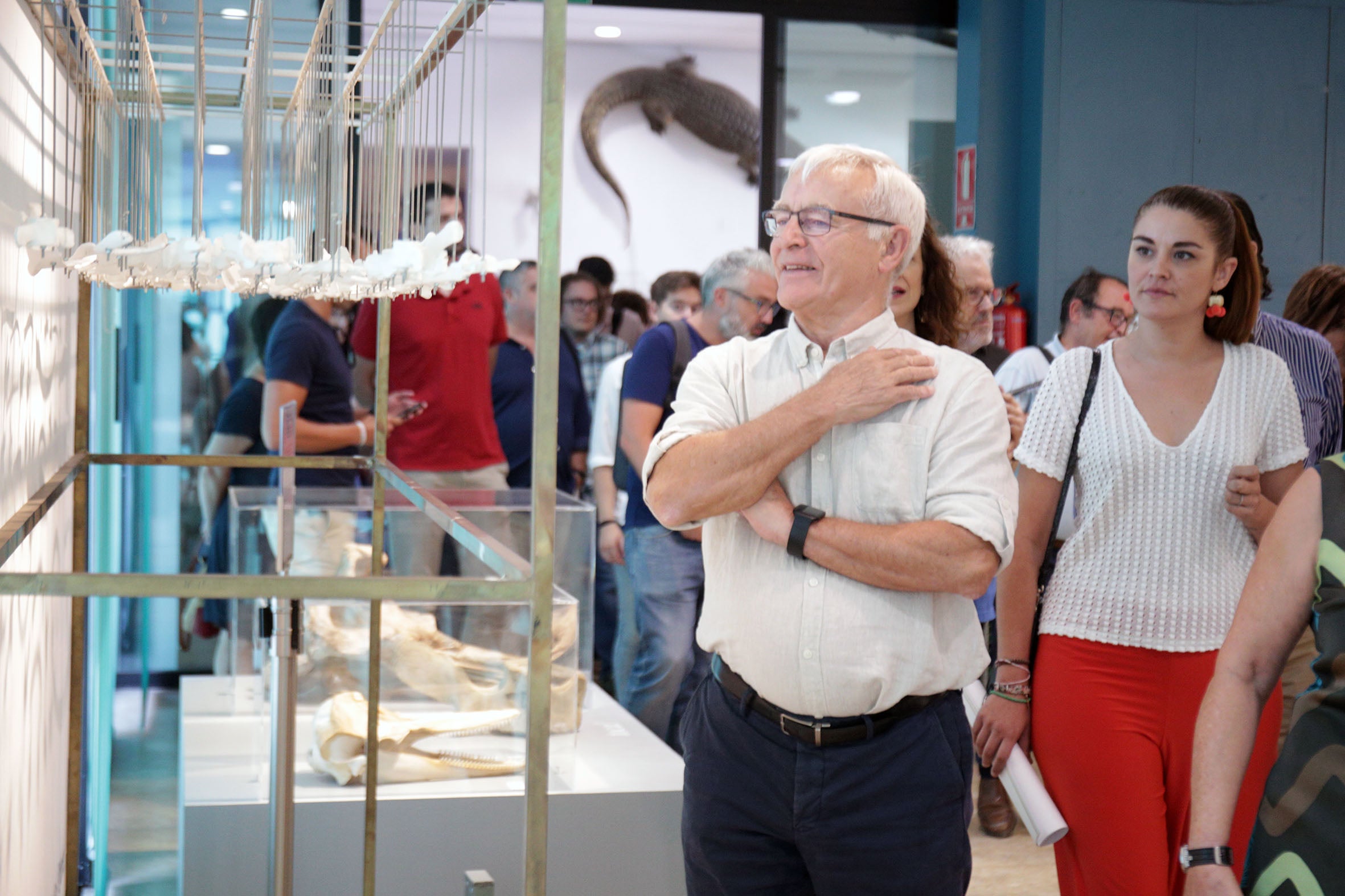 Valencia pide al Gobierno que modifique la Ley de Mecenazgo para cobrar IBI a la Iglesia Valencia pide al Gobierno que modifique la Ley de Mecenazgo para cobrar IBI a la Iglesia