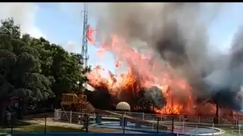 El fuego se originó al lado de Playa Park El fuego se originó al lado de Playa Park