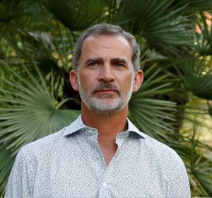 El rey Felipe VI El rey Felipe VI