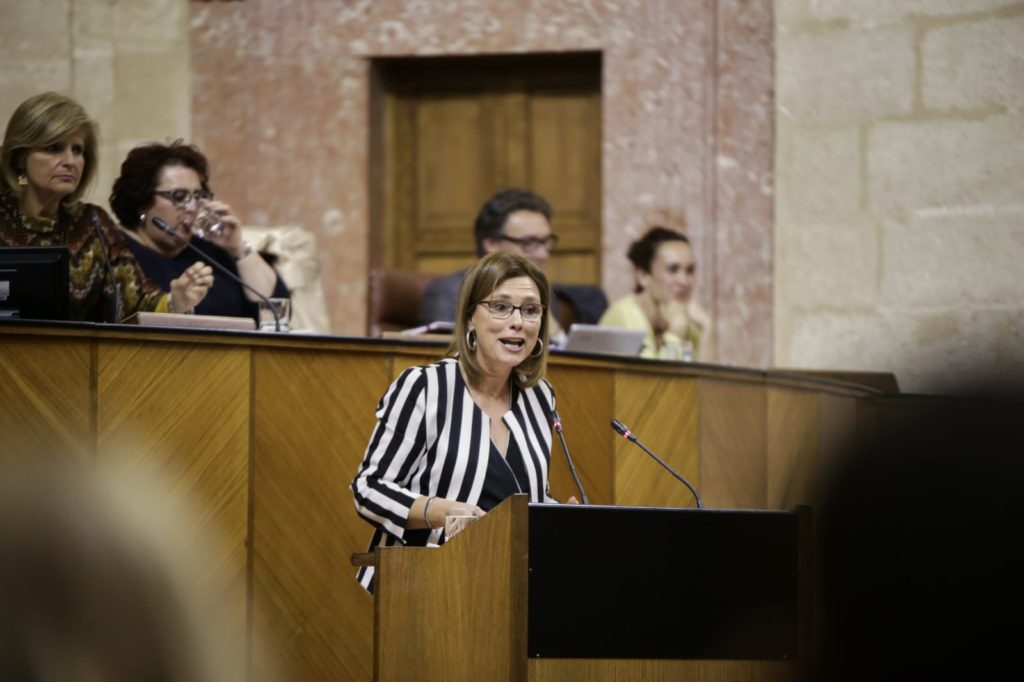 La diputada granadina en el Parlamento de Andalucía ha manifestado que los 37 años del gobierno socialista, han dejado en nuestra tierra "una mella importante y un agujero negro" La diputada granadina en el Parlamento de Andalucía ha manifestado que los 37 años del gobierno socialista, han dejado en nuestra tierra "una mella importante y un agujero negro"