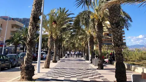 Arenales del Sol. Arenales del Sol.