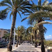 Arenales del Sol.
