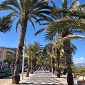 Arenales del Sol. Arenales del Sol.