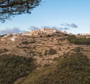 Benafigos Benafigos