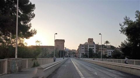 Puente Altamira de Elche.