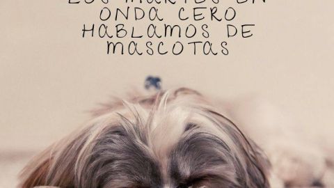 Mascotas Onda Cero Talavera