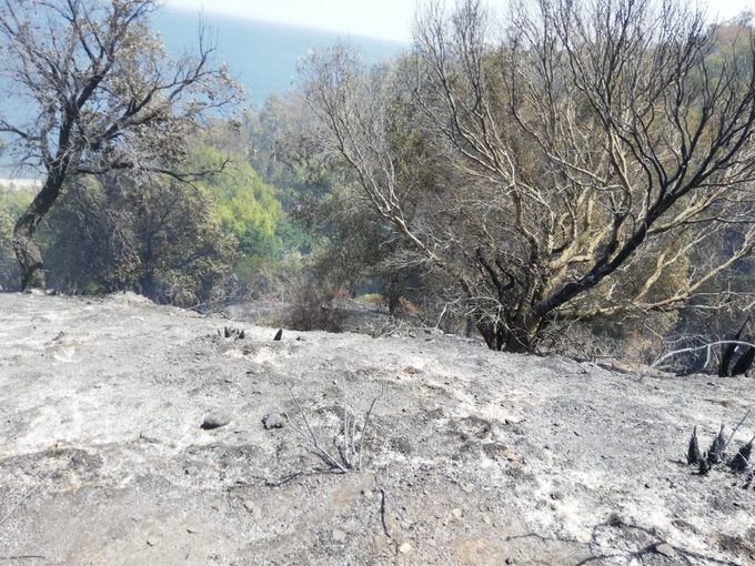 Medio Ambiente prohibirá hacer fuego en los montes Medio Ambiente prohibirá hacer fuego en los montes