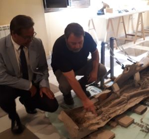 Antonio Granados visita el sarcófago romano recientemente descubierto Antonio Granados visita el sarcófago romano recientemente descubierto