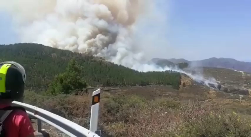 Detenido el presunto autor del incendio de Gran Canaria Detenido el presunto autor del incendio de Gran Canaria