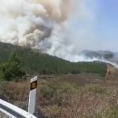 Declarado un incendio forestal en Artenara (Gran Canaria)