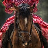 Feria de Málaga