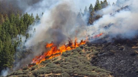 laSexta Noticias Fin de Semana (11-08-19) El incendio de Gran Canaria avanza sin control y ya afecta a m&aacute;s de 1.000 hect&aacute;reas