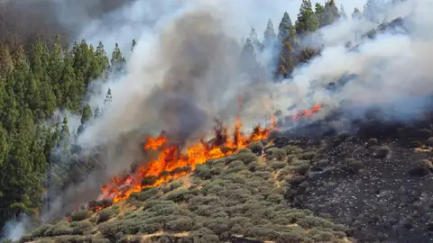 laSexta Noticias Fin de Semana (11-08-19) El incendio de Gran Canaria avanza sin control y ya afecta a más de 1.000 hectáreas laSexta Noticias Fin de Semana (11-08-19) El incendio de Gran Canaria avanza sin control y ya afecta a más de 1.000 hectáreas
