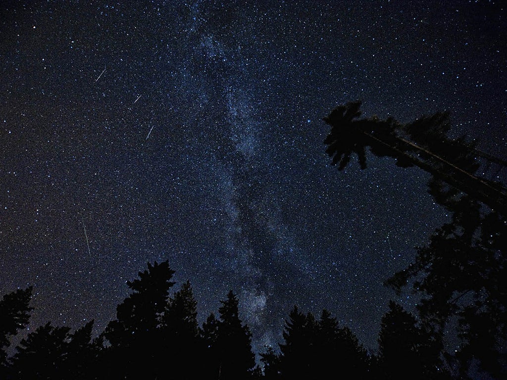 Perseidas 2020: cómo, cuándo y dónde ver la lluvia de estrellas Perseidas 2020: cómo, cuándo y dónde ver la lluvia de estrellas