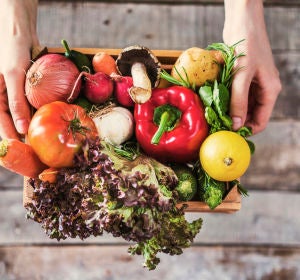 Vegetales Vegetales