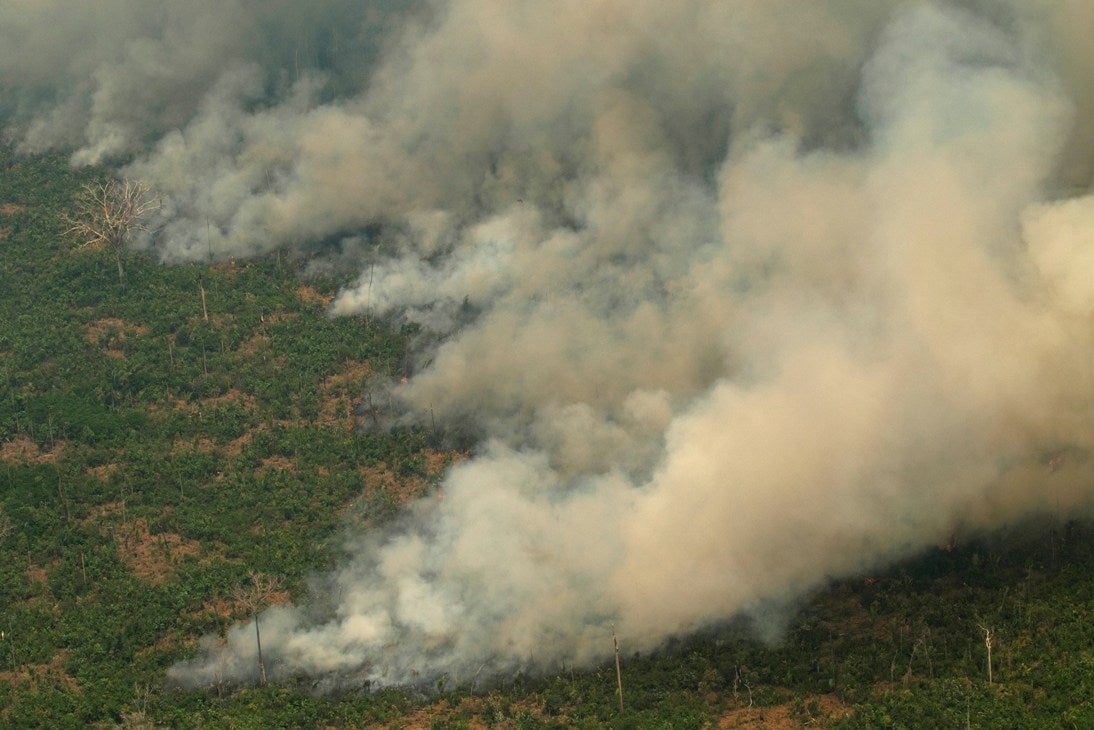 La importancia del Amazonas y por qué debemos protegerlo La importancia del Amazonas y por qué debemos protegerlo