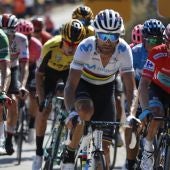 Ciclistas durante La Vuelta Ciclista a España 2019