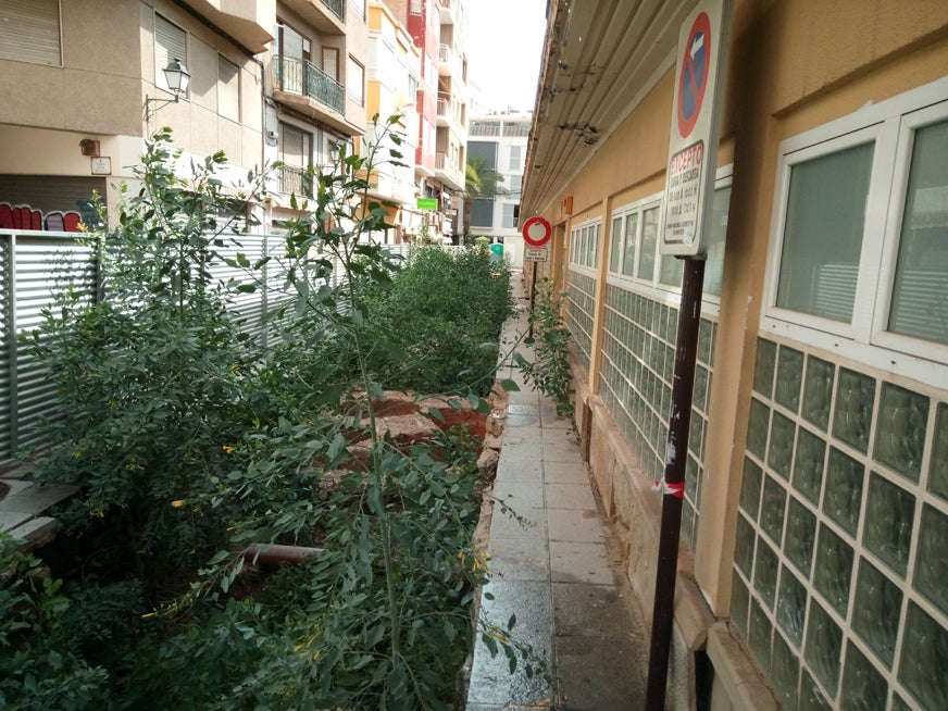 Cultura obliga al Ayuntamiento de Elche a conservar la integridad de los Baños Árabes del Mercado Central Cultura obliga al Ayuntamiento de Elche a conservar la integridad de los Baños Árabes del Mercado Central