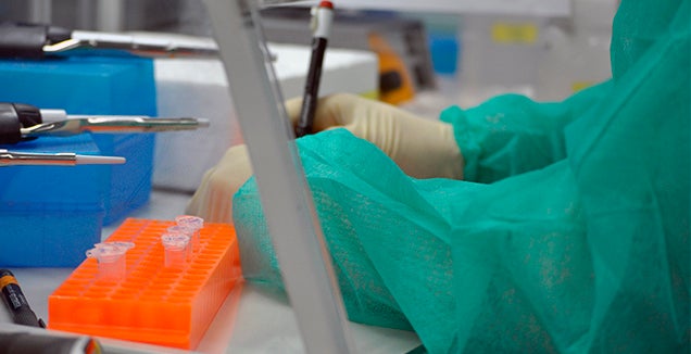 La fundación Fisabio financia con 213.000 euros proyectos de los dos hospitales de Elche La fundación Fisabio financia con 213.000 euros proyectos de los dos hospitales de Elche