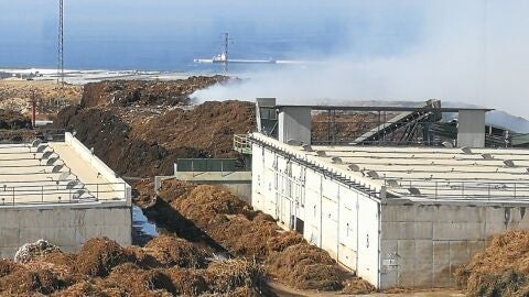 INCENDIO MOTRIL